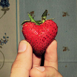 strawberry2_th